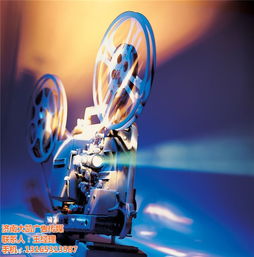 平陰企業形象升級新篇章 大凱傳媒以圖文制作為核心，打造優質商家新標桿